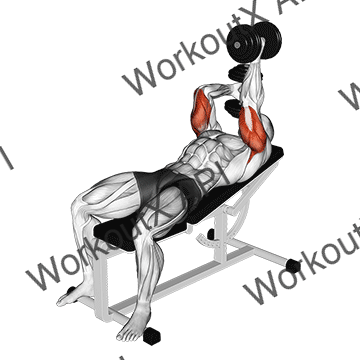 Dumbbell Lying Alternate Extension animated GIF