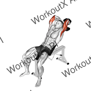 Dumbbell Incline Two Arm Extension animated GIF