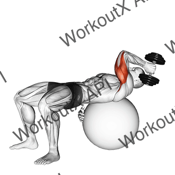 Dumbbell One Arm French Press On Exercise Ball animated GIF