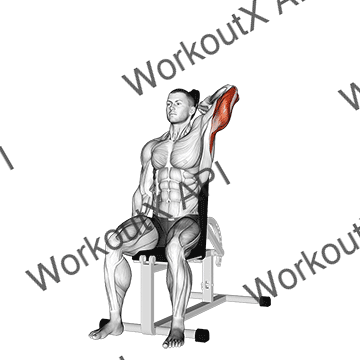 Dumbbell Seated Reverse Grip One Arm Overhead Tricep Extension animated GIF
