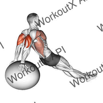 Exercise Ball Dip animated GIF