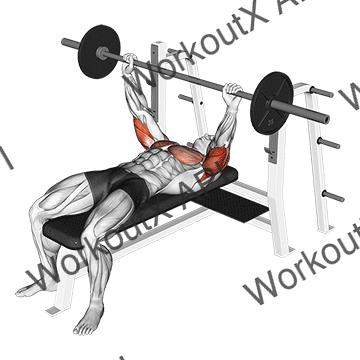 Barbell Pin Presses animated GIF