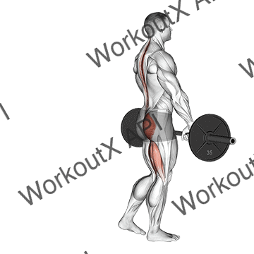 Barbell Single Leg Deadlift animated GIF