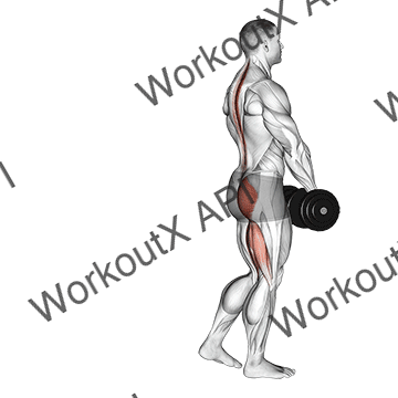 Dumbbell Single Leg Deadlift animated GIF