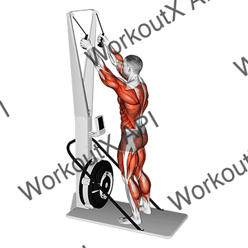 Ski Ergometer animated GIF