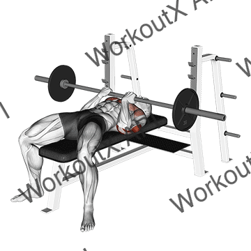 Barbell Reverse Close-grip Bench Press animated GIF
