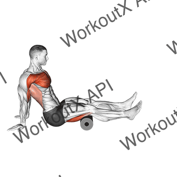 Roller Seated Shoulder Flexor Depresor Retractor animated GIF