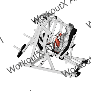 Lever Alternate Leg Press animated GIF