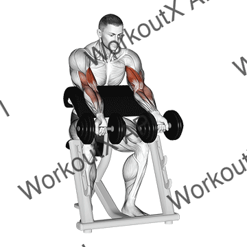 Dumbbell Zottman Preacher Curl animated GIF