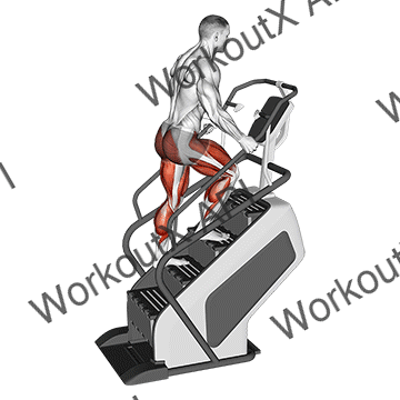 Walking On Stepmill