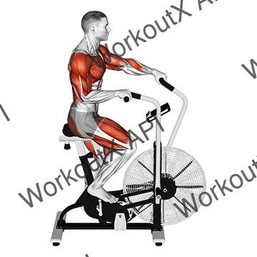 Cycle Cross Trainer