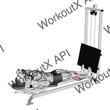 Sled Lying Calf Press animated GIF