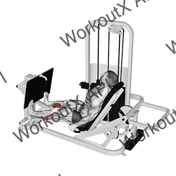 Lever Seated Calf Press animated GIF