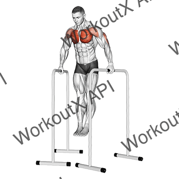 Wide-grip Chest Dip On High Parallel Bars animated GIF
