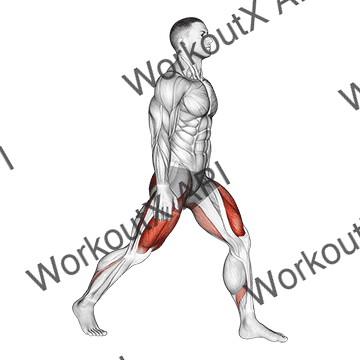 Split Squats animated GIF