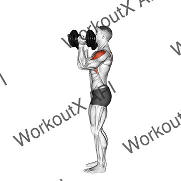 Dumbbell Scott Press animated GIF