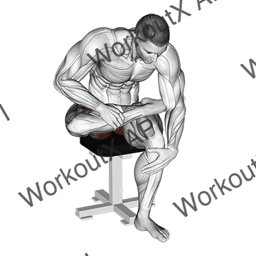 Seated Piriformis Stretch animated GIF