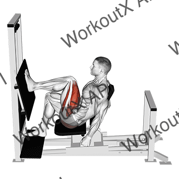 Lever Horizontal One Leg Press animated GIF