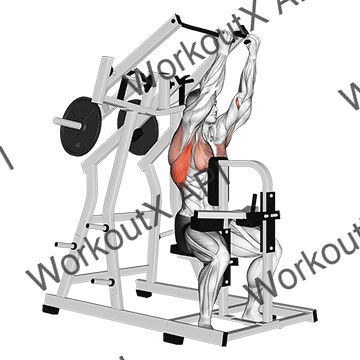 Lever Reverse Grip Lateral Pulldown animated GIF