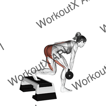 Dumbbell Single Leg Deadlift With Stepbox Support animated GIF