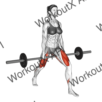 Barbell Split Squat V. 2 animated GIF