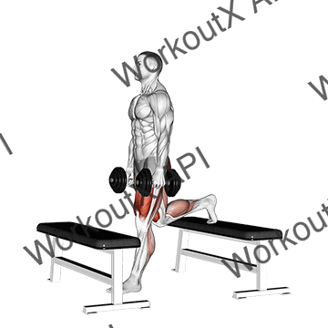 Dumbbell Step-up Split Squat animated GIF