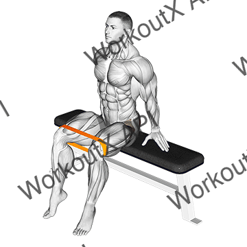 Resistance Band Seated Hip Abduction animated GIF