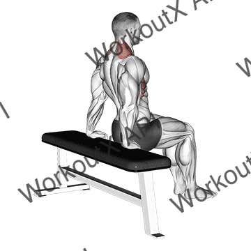 Scapula Dips animated GIF