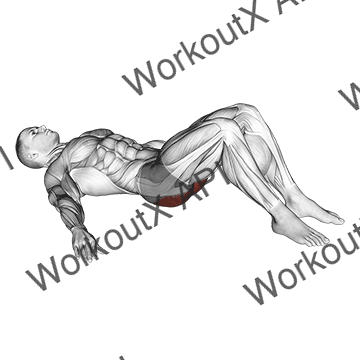 Low Glute Bridge On Floor animated GIF