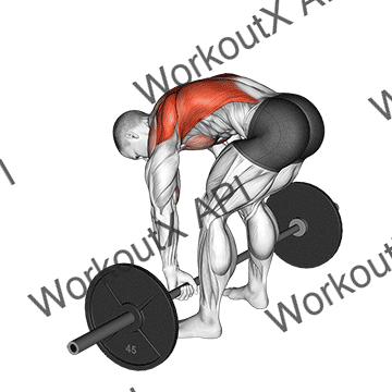 Barbell Pendlay Row animated GIF