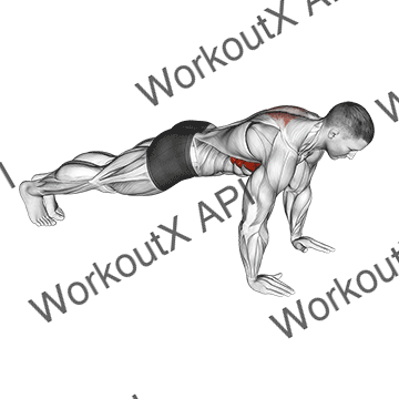 Scapula Push-up animated GIF