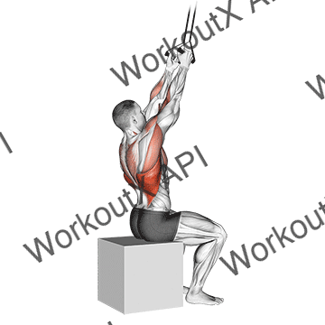 Band Fixed Back Close Grip Pulldown animated GIF