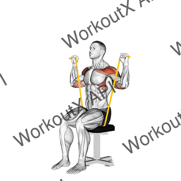 Resistance Band Seated Shoulder Press animated GIF