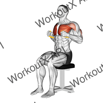 Resistance Band Seated Chest Press animated GIF