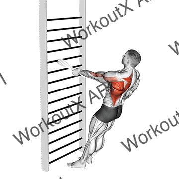 Bodyweight Standing One Arm Row (with Towel) animated GIF