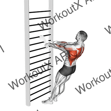 Bodyweight Standing Row (with Towel) animated GIF