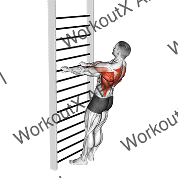 Bodyweight Standing Row animated GIF
