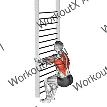Bodyweight Squatting Row animated GIF