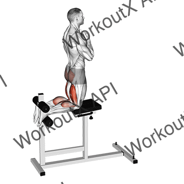 Glute-ham Raise animated GIF