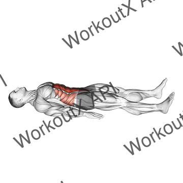 Quarter Sit-up animated GIF