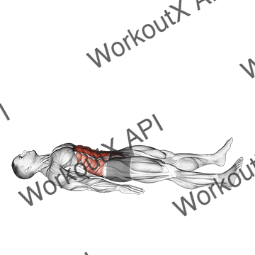 Half Sit-up (male) animated GIF