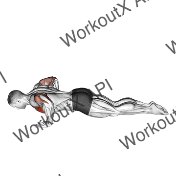 Kneeling Push-up (male) animated GIF