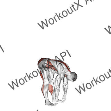 Basic Toe Touch (male) animated GIF