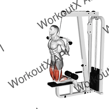 Cable Assisted Inverse Leg Curl animated GIF