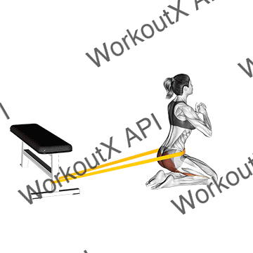 Resistance Band Hip Thrusts On Knees (female) animated GIF
