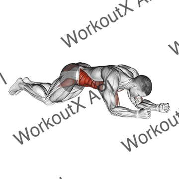 Kneeling Plank Tap Shoulder (male) animated GIF