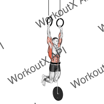 Weighted Muscle Up animated GIF