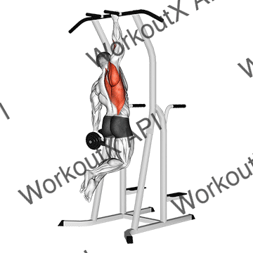 Weighted One Hand Pull Up animated GIF