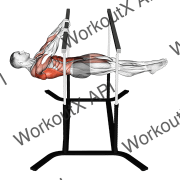 Front Lever Reps animated GIF