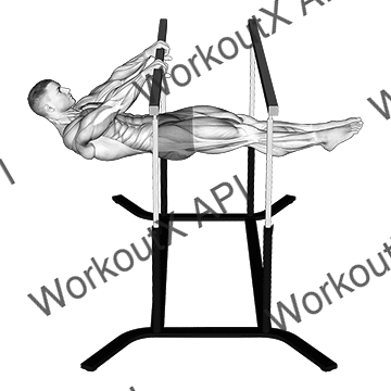 Front Lever animated GIF